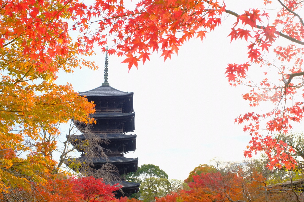 東寺3