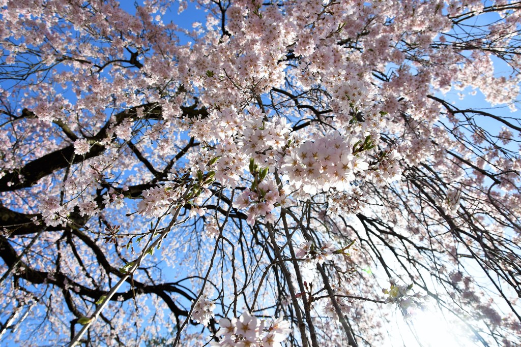 駒ヶ根　蔵澤寺