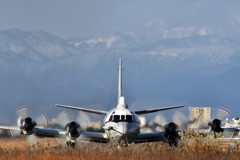 岐阜基地　転がり