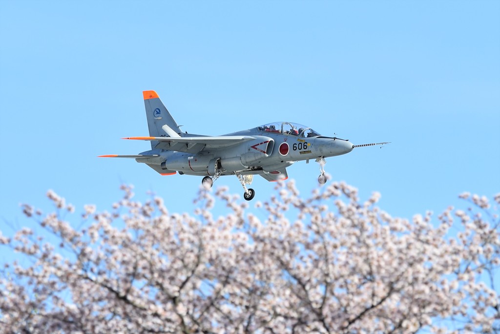 春の岐阜基地