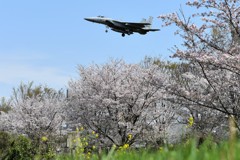 春の岐阜基地