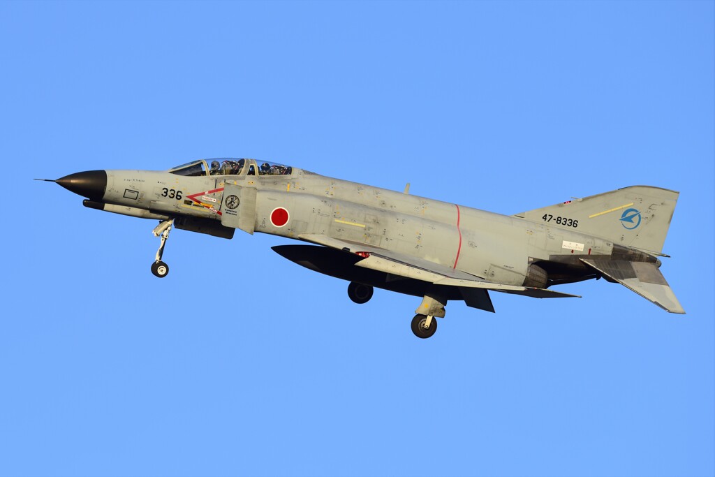 ファントムスペマ捕獲活動