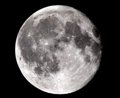 月齢　１６．３