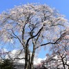 駒ヶ根　蔵澤寺