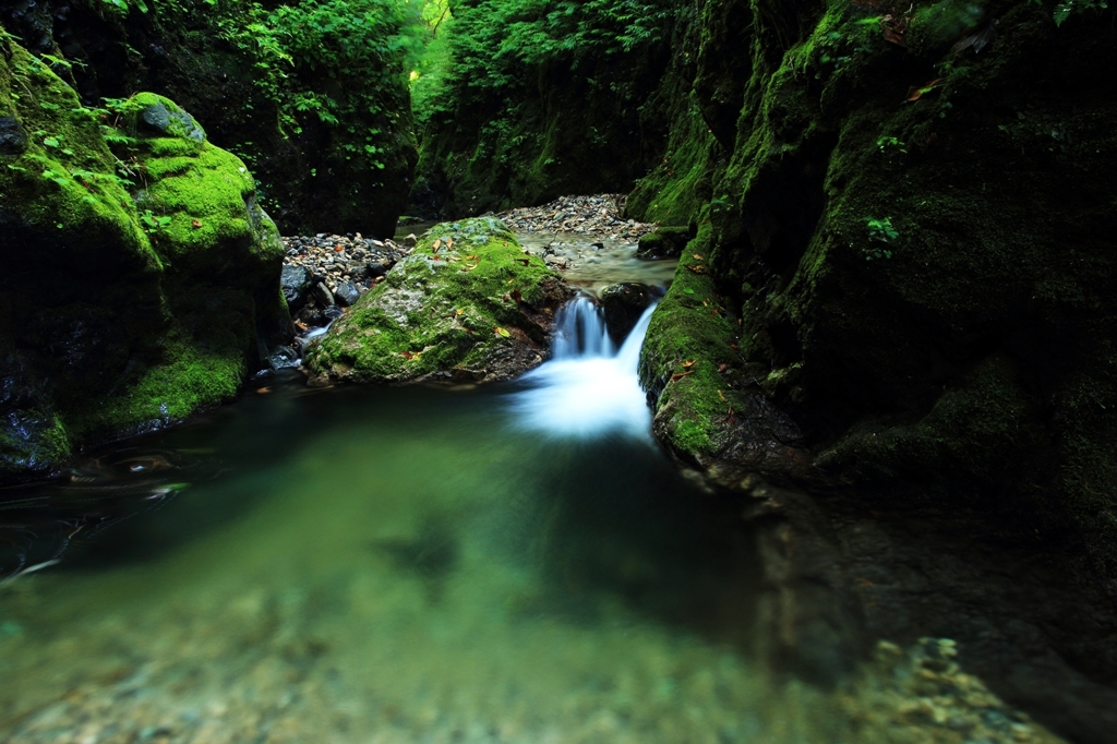 sugi valley