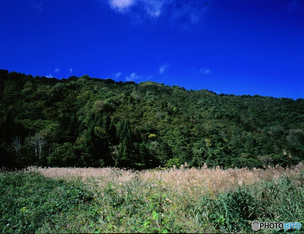 里山の風景