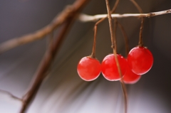 red fruit