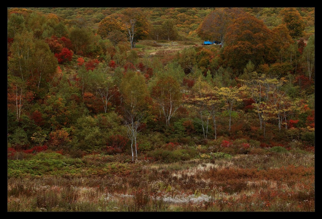 autumn picture book