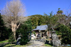 八雲神社