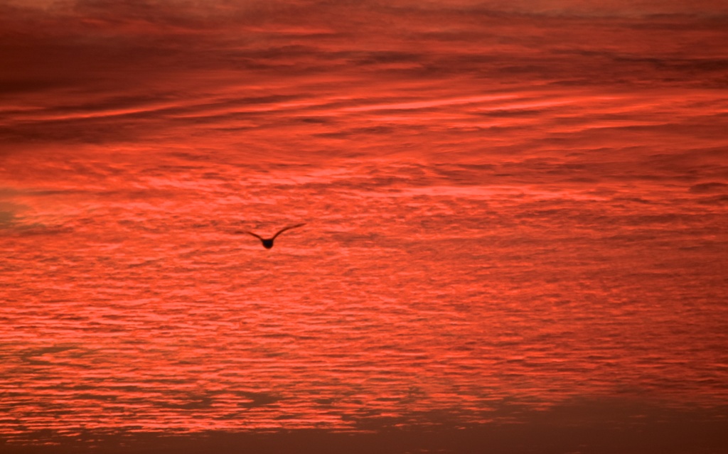夕焼け空をいく！