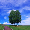 北西の丘展望公園の景色