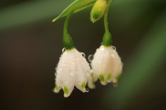 A feeling of spring in the air.