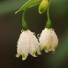 A feeling of spring in the air.