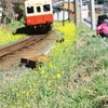 来た来たぁ～！