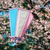 河津桜_4