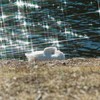 朝の公園にて_1