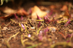 A feeling of spring in the air.