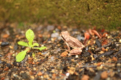 A feeling of spring in the air.