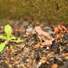 A feeling of spring in the air.