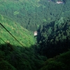 新緑の弥彦山