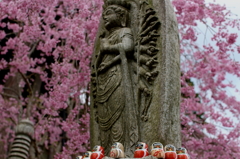 勝尾寺