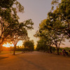 緑地公園の夕日