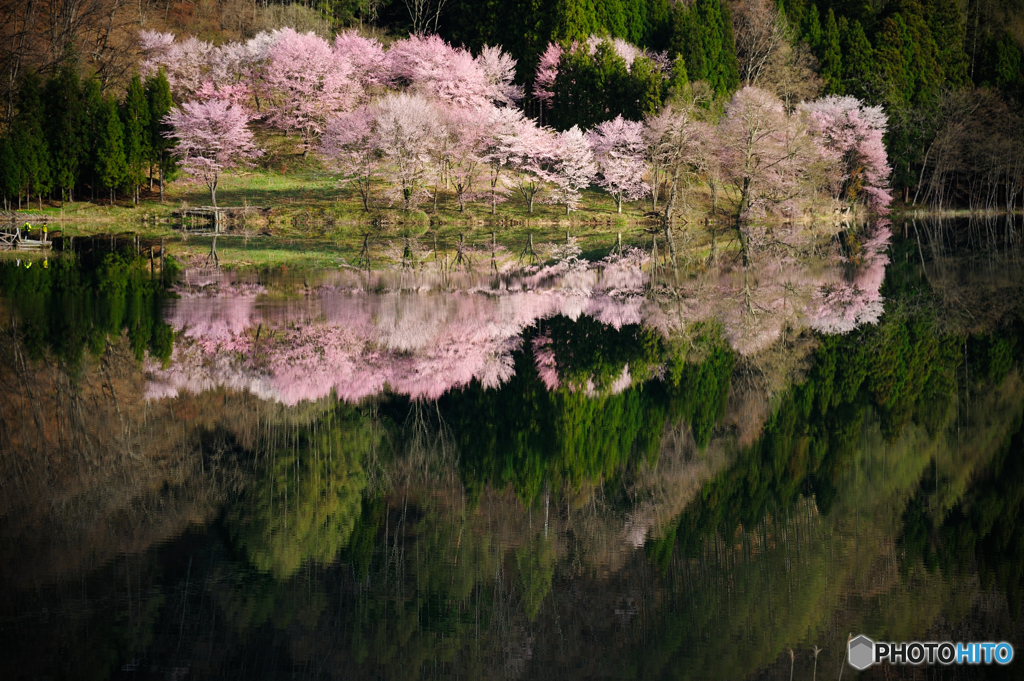 2016　中綱湖の水鏡-1