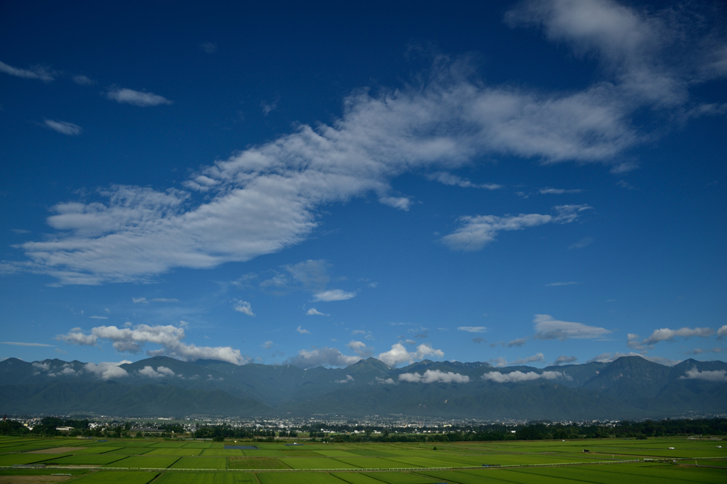 D70_2854