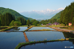 青鬼の棚田