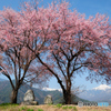 道祖神と桜　3