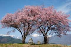 道祖神と桜　2