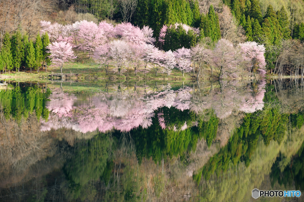 2016 中綱湖の水鏡　4