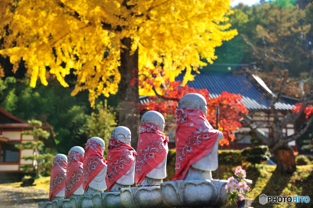 長福寺の大銀杏D70_4030