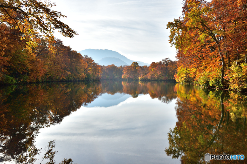 鎌池の紅葉風景D70_3627