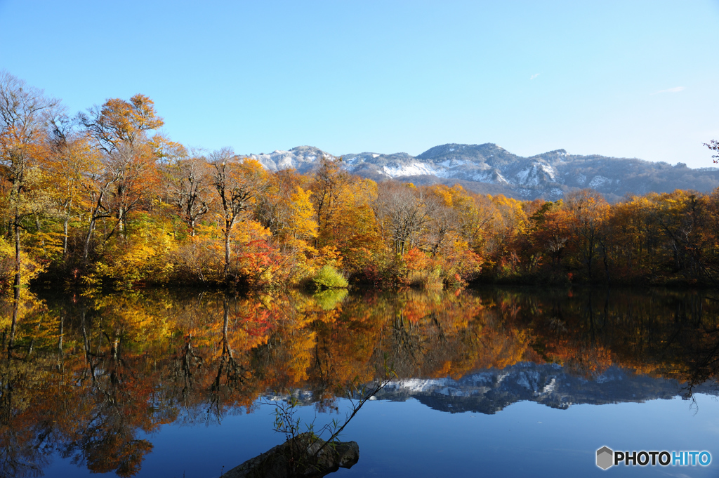 鎌池の紅葉D70_9820