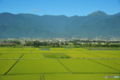 常念と田園風景