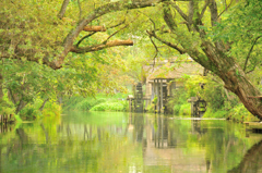 水車小屋のある風景Ⅱ