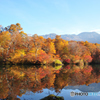 鎌池の紅葉風景D70_3565-2