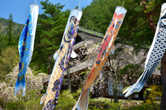 いやしの里根場5