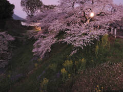 田安門前