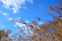 冬の青空