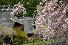 いやしの里根場1
