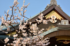 湯島天神