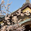 湯島天神