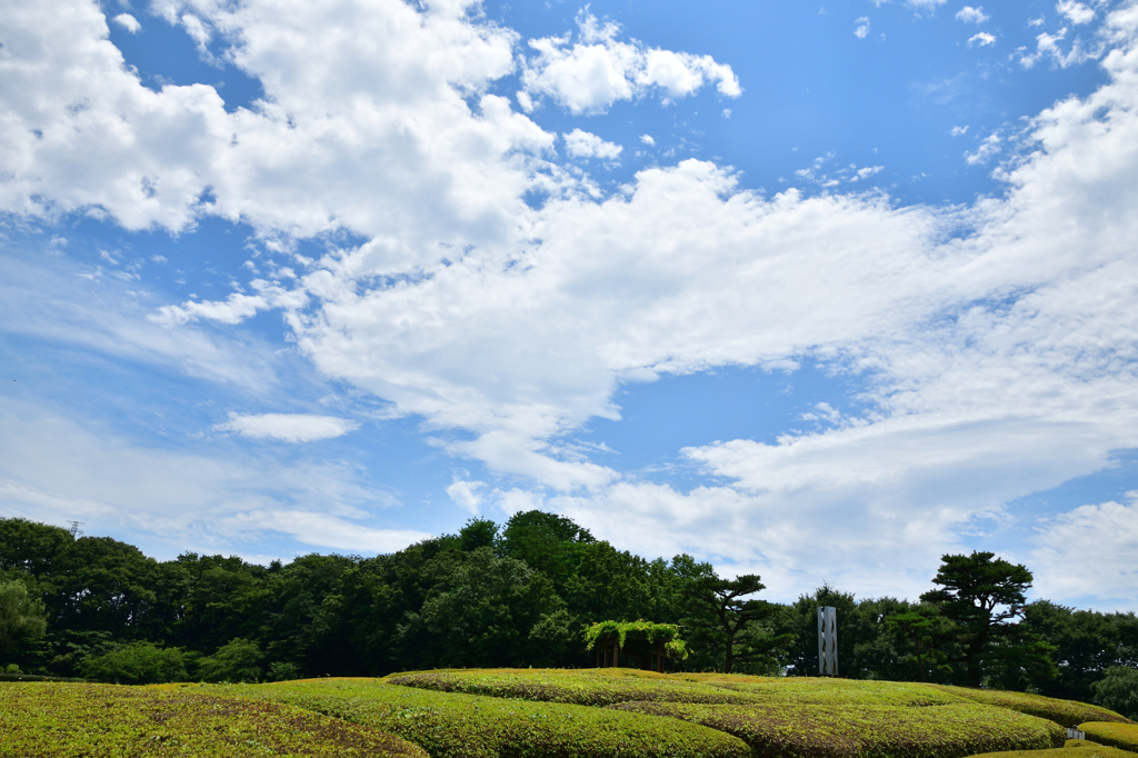 夏空