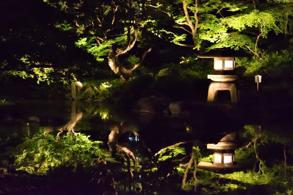 夜の日本庭園