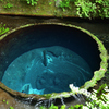 名水