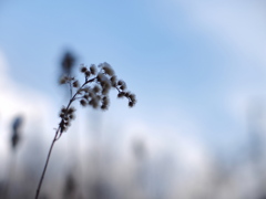 雪が止んだ