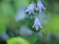 秋が近づく