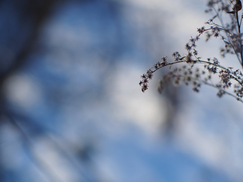 色失い影を得る